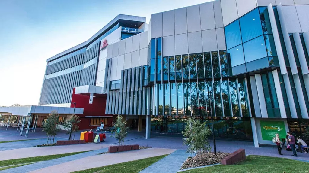 griffith university