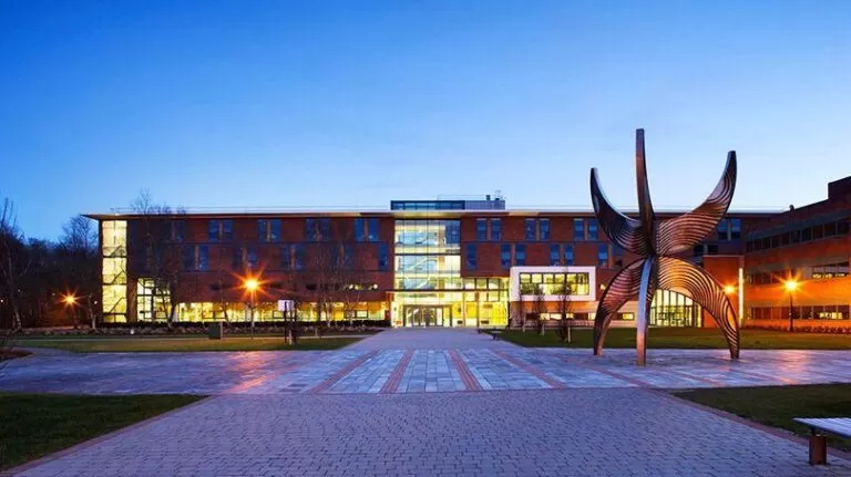 limerick university