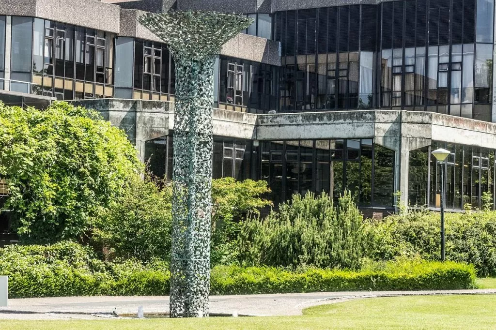 university of limerick