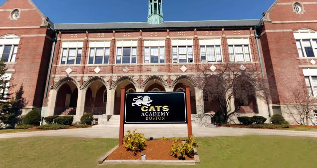 catsacademy 916 picpu5r 1024x543 1