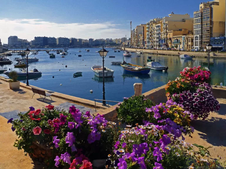 malta 2 768x575 1
