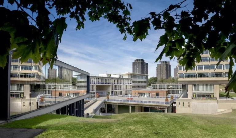 university of essex