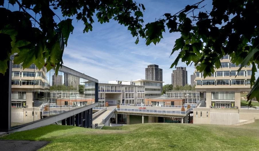 university of essex