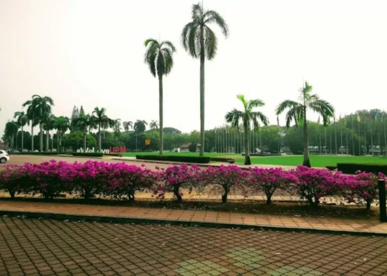 upm 5