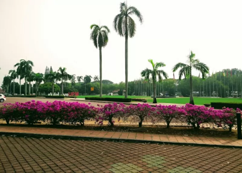 upm 5